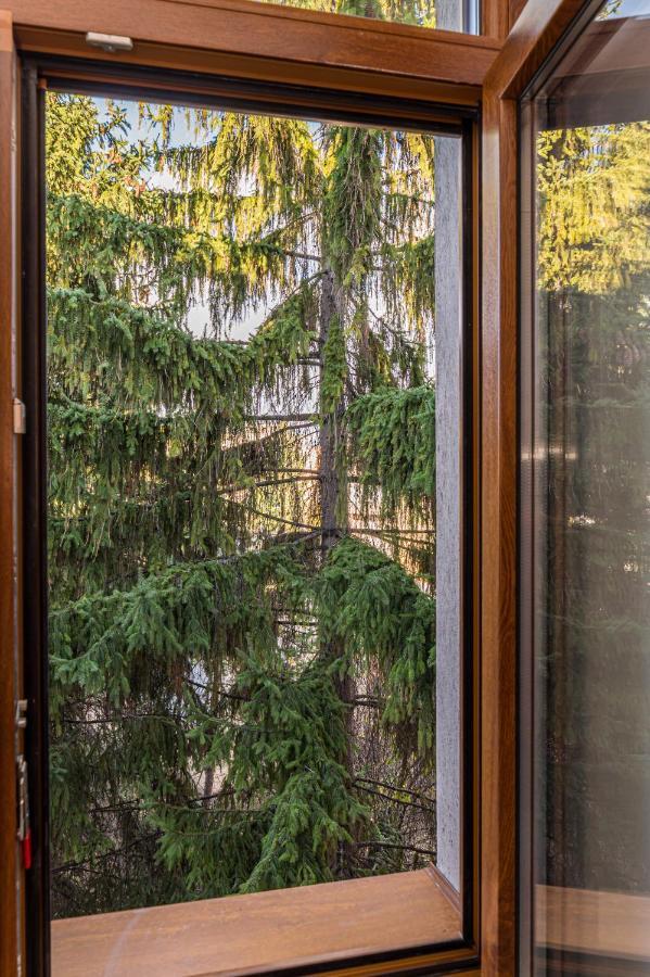 Chic&View Brasov Apartment מראה חיצוני תמונה