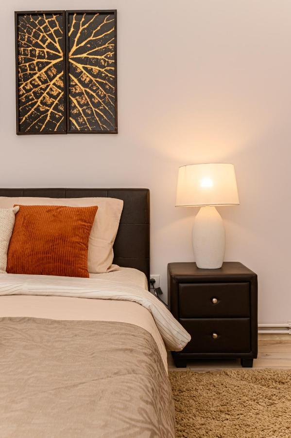 Chic&View Brasov Apartment מראה חיצוני תמונה